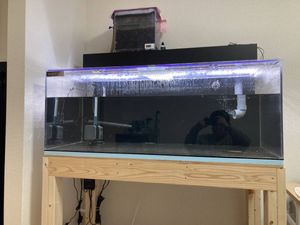 アクリル水槽 カンテツの値段と価格推移は 3件の売買情報を集計したアクリル水槽 カンテツの価格や価値の推移データを公開