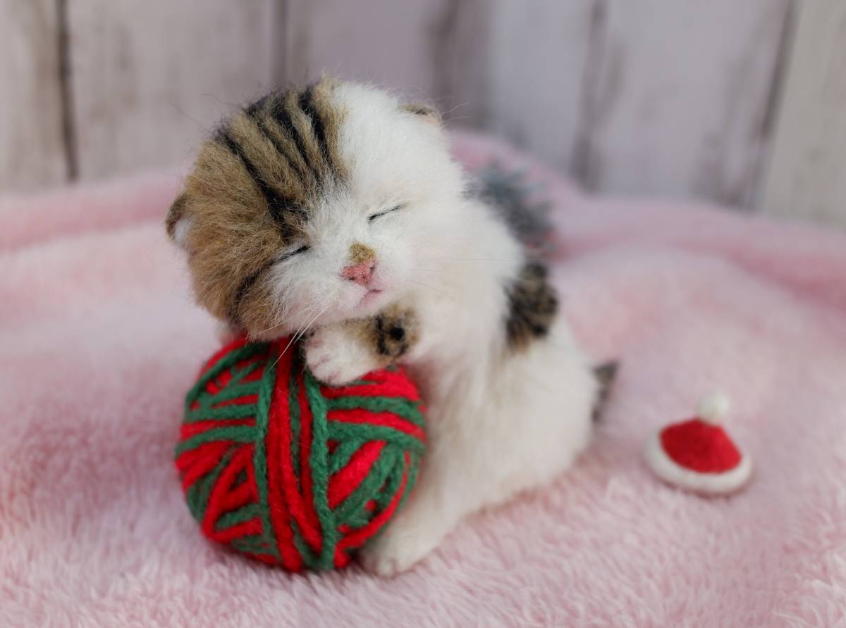 funwari□□□ 羊毛フェルト 毛糸玉と赤ちゃん猫 キジ白 クリスマス