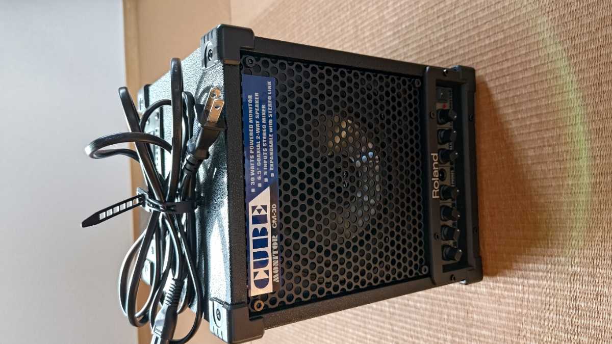 Roland ローランド　モニタースピーカー cm-30 _1