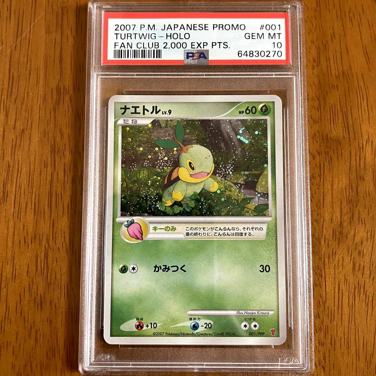 ポケモンカード ナエトル ヒコザル ポッチャマ PSA10 / プレイヤーズ 