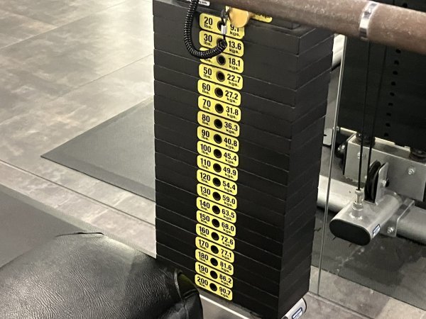 販売直売 Think Fitness アジャスタブルベンチ タフスタッフ 【公式通販】