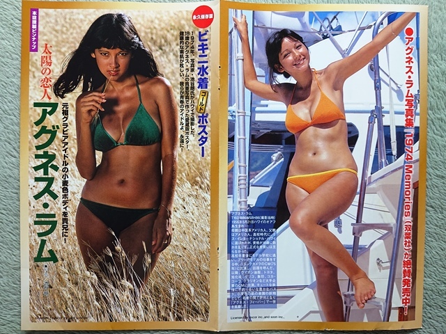 アグネス・ラム ビキニ水着ゴールドポスター 切り抜き ◇A17632
