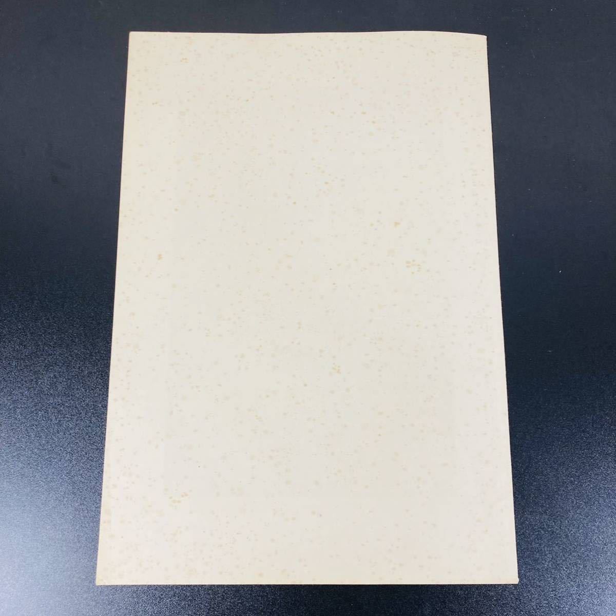 川瀬巴水 木版画 状態(優良) 川瀬巴水『暮るる雪・江戸川』＜藍色摺り