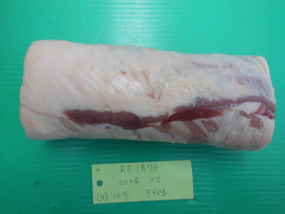 福岡産天然猪肉 令和5年1月7日20㎏メス(11)バラ590g