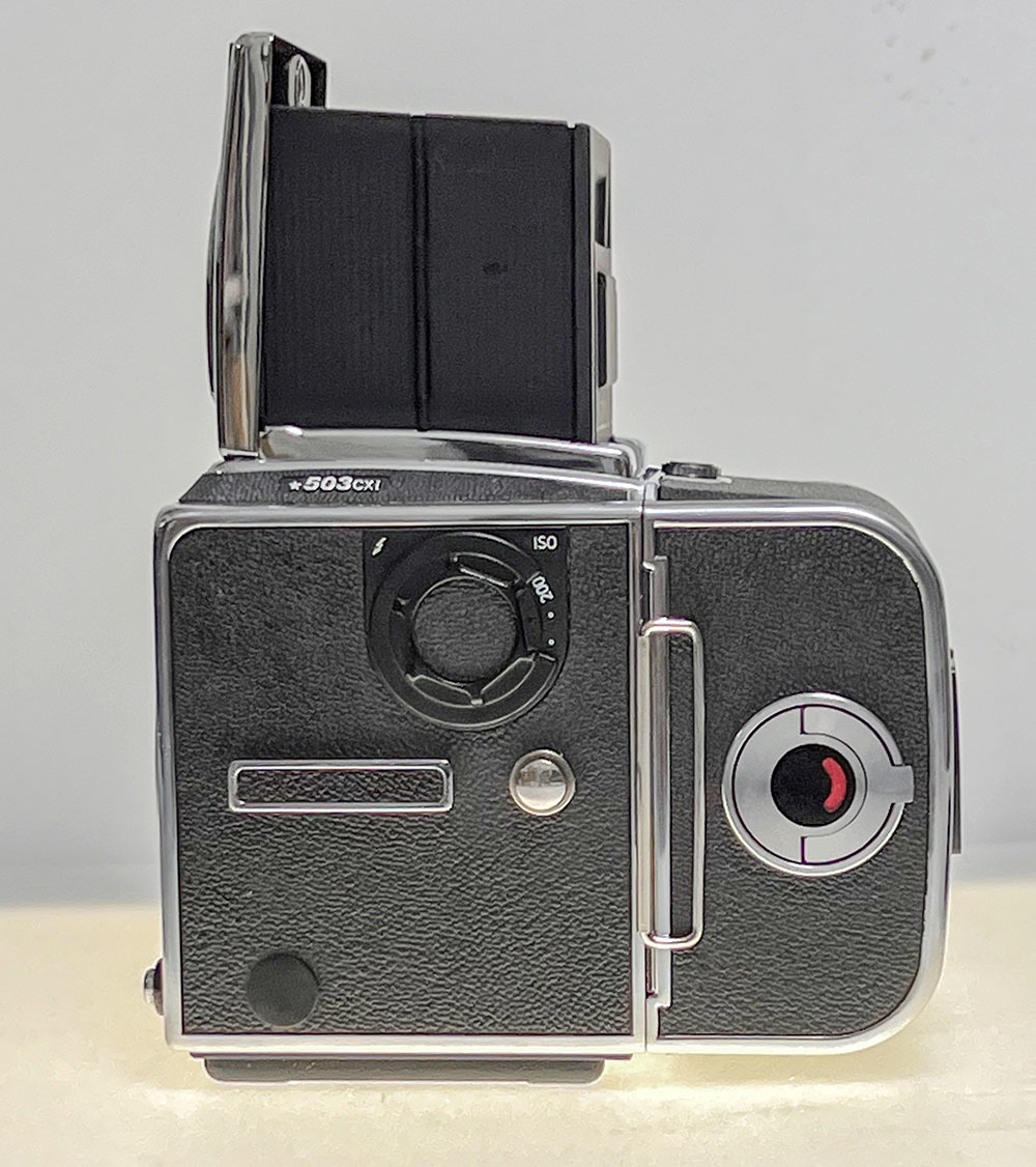 HASSELBLAD ☆503CXi + A12 ボディ ハッセルブラッド 中判フィルム