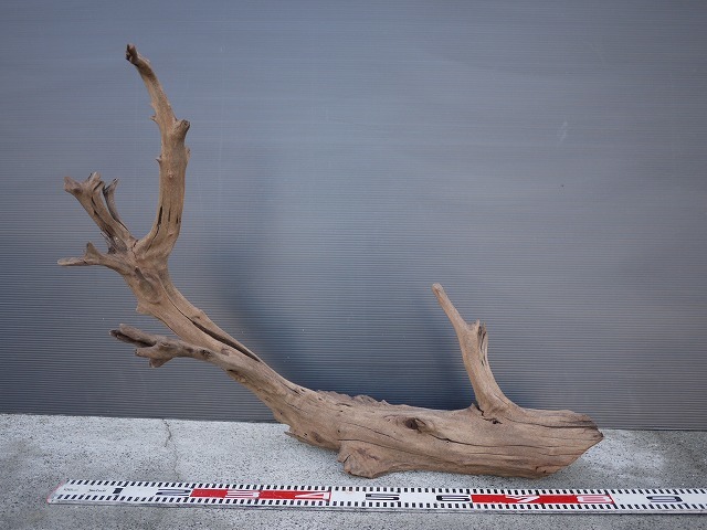 特大サイズ 流木 83cm