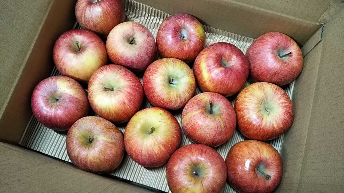 サンふじ りんご 2箱分すぐ発送!10キロ樹上完熟葉取らず サンふじ りんご 2箱分すぐ発送!10キロ樹上完熟葉取らず