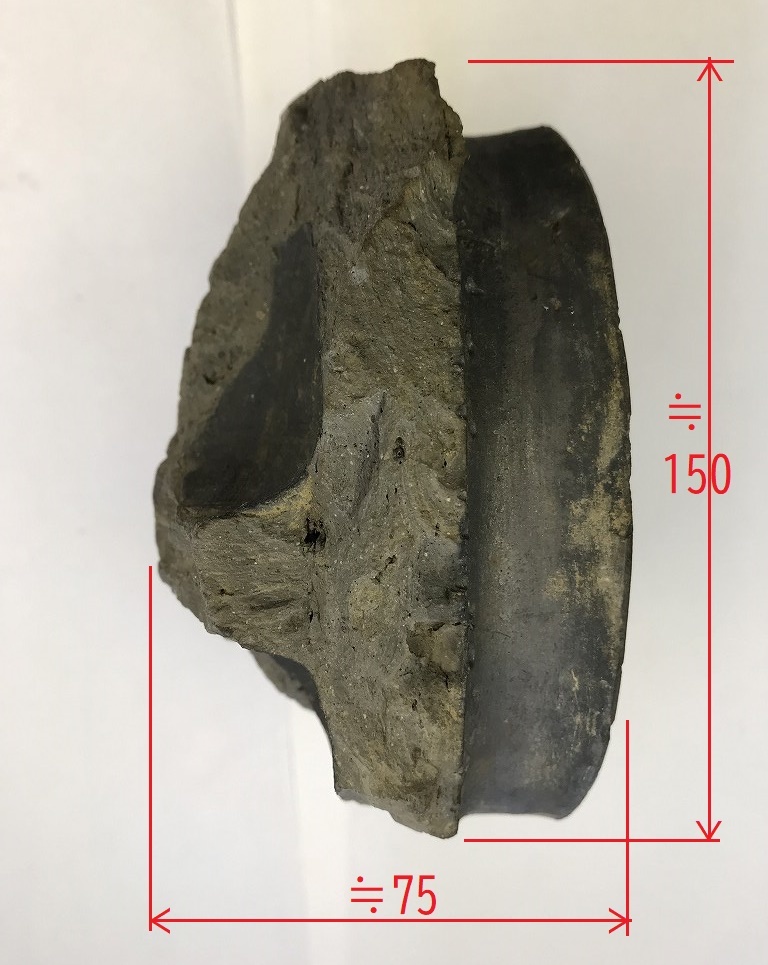 RAN 三つ葉葵紋 瓦 軒先瓦 徳川家所縁の寺院より 時代物 RAN 三つ葉