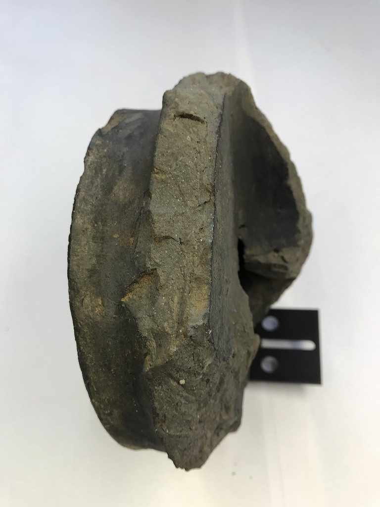 RAN 三つ葉葵紋 瓦 軒先瓦 徳川家所縁の寺院より 時代物 RAN 三つ葉