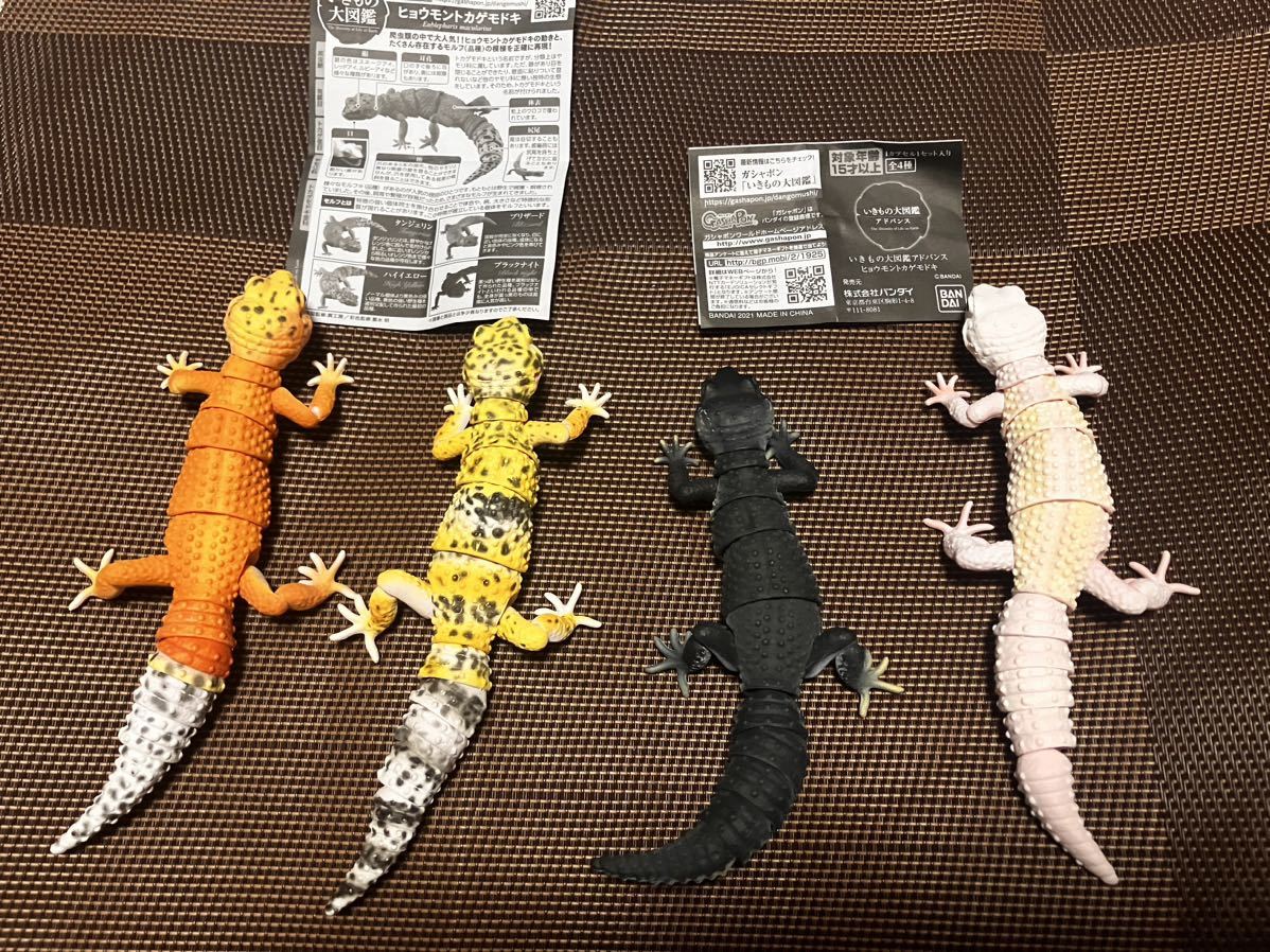 【本物保証，人気】 いきもの大図鑑アドバンス ヒョウモントカゲモドキ 4種(生き物)｜売買されたオークション情報、yahooの商品情報をアーカイブ公開 - オークファン 生き物