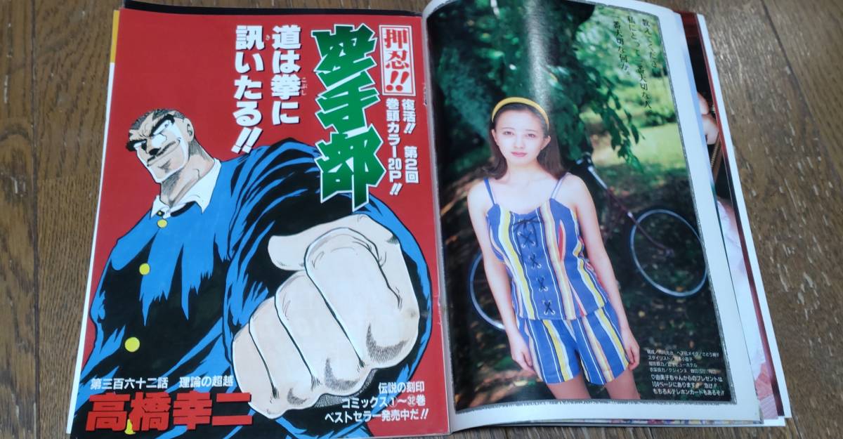ヤングジャンプ 1993/11/11 表紙 高橋由美子 切り抜きの入札履歴