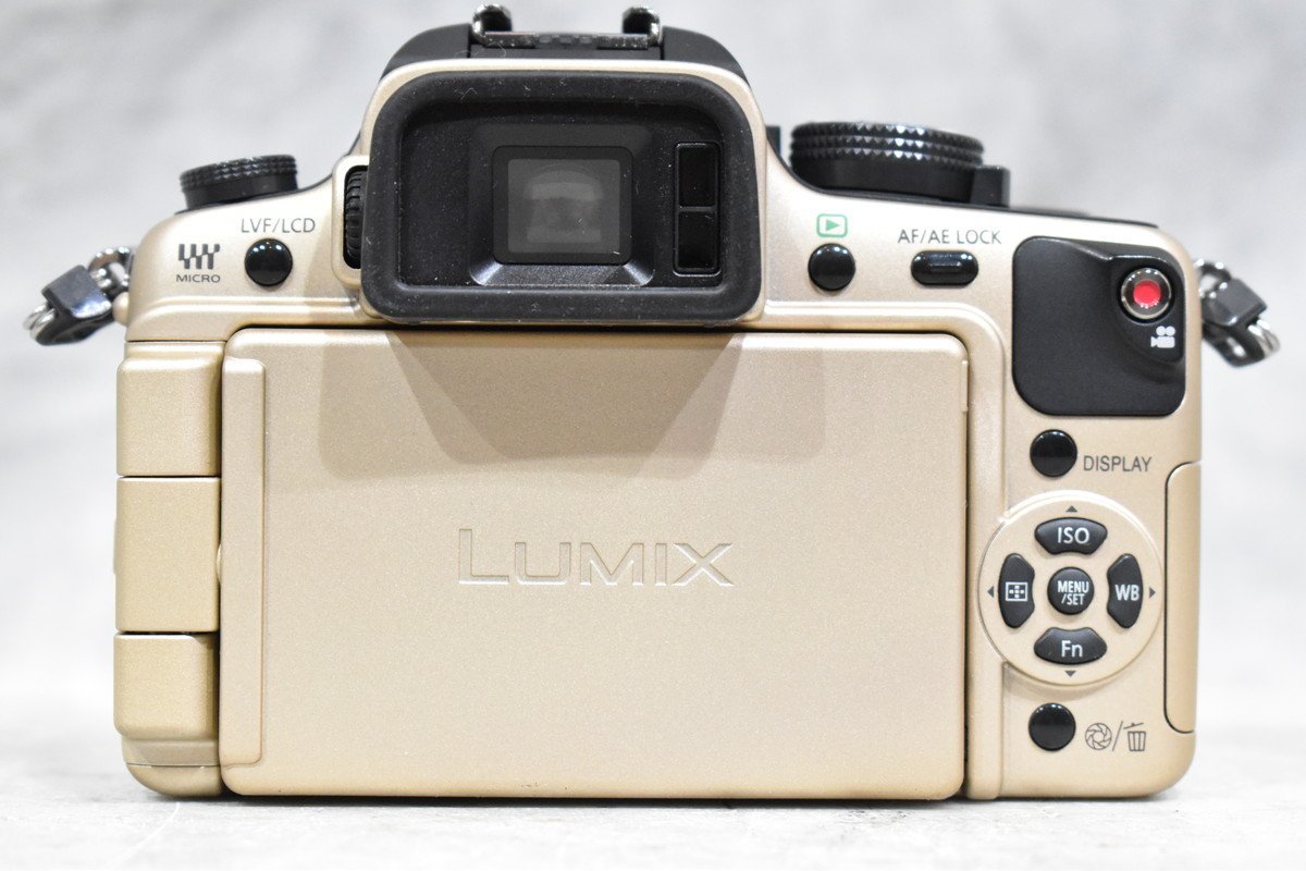 送料無料!!】Panasonic LUMIX DMC-GH1 G VARIO F4-5.8 14-140mm ASPH 
