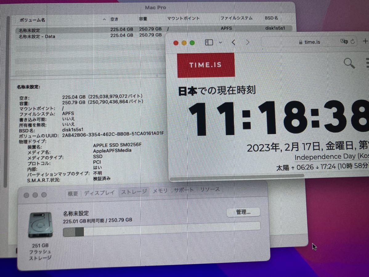 送料無料 Apple純正 256GB PCIe SSD MacBook Pro MacBookAir MacPro