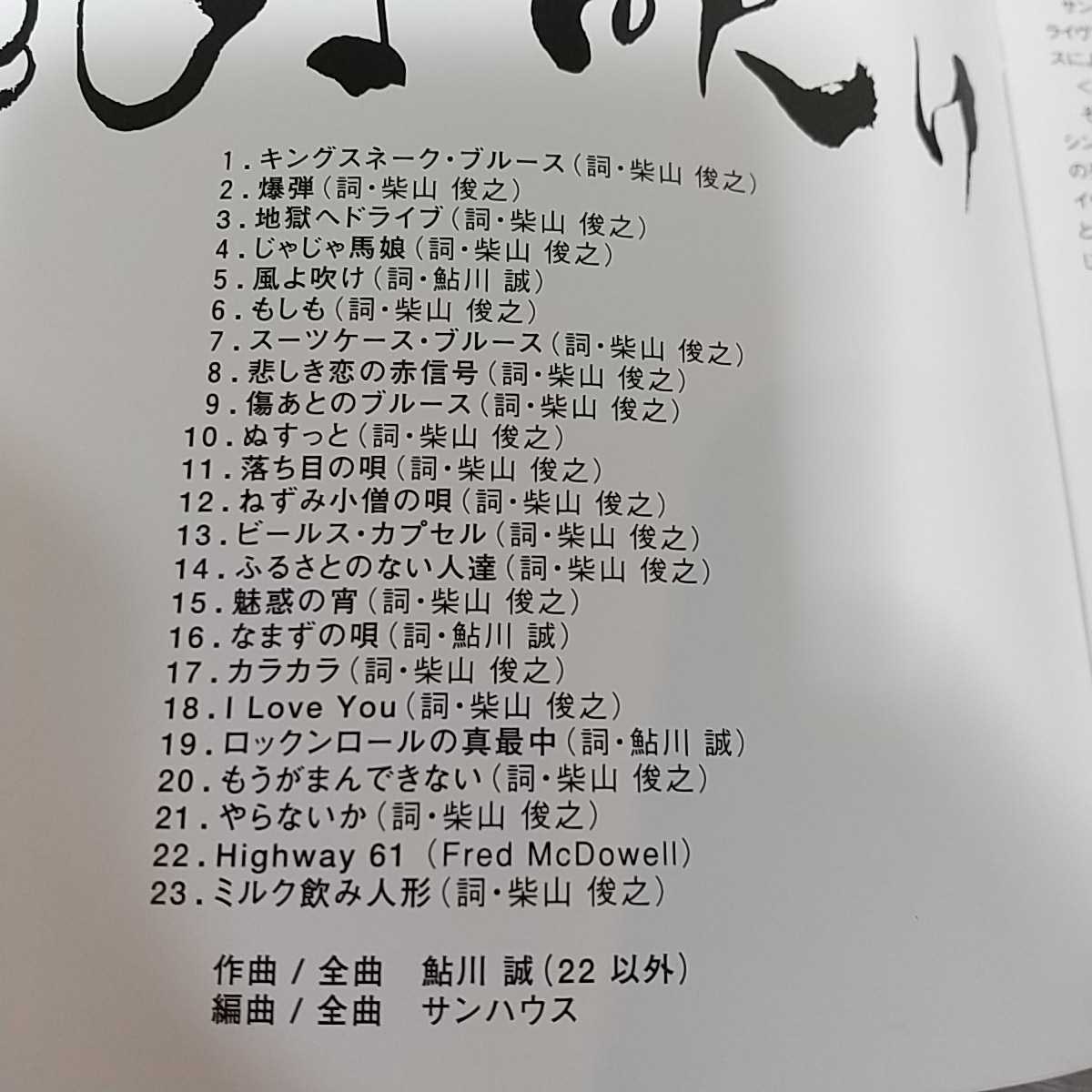サンハウス 風よ吹け 1998年 LIVE DVD SONHOUSE 鮎川誠 鬼平 菊 奈良 