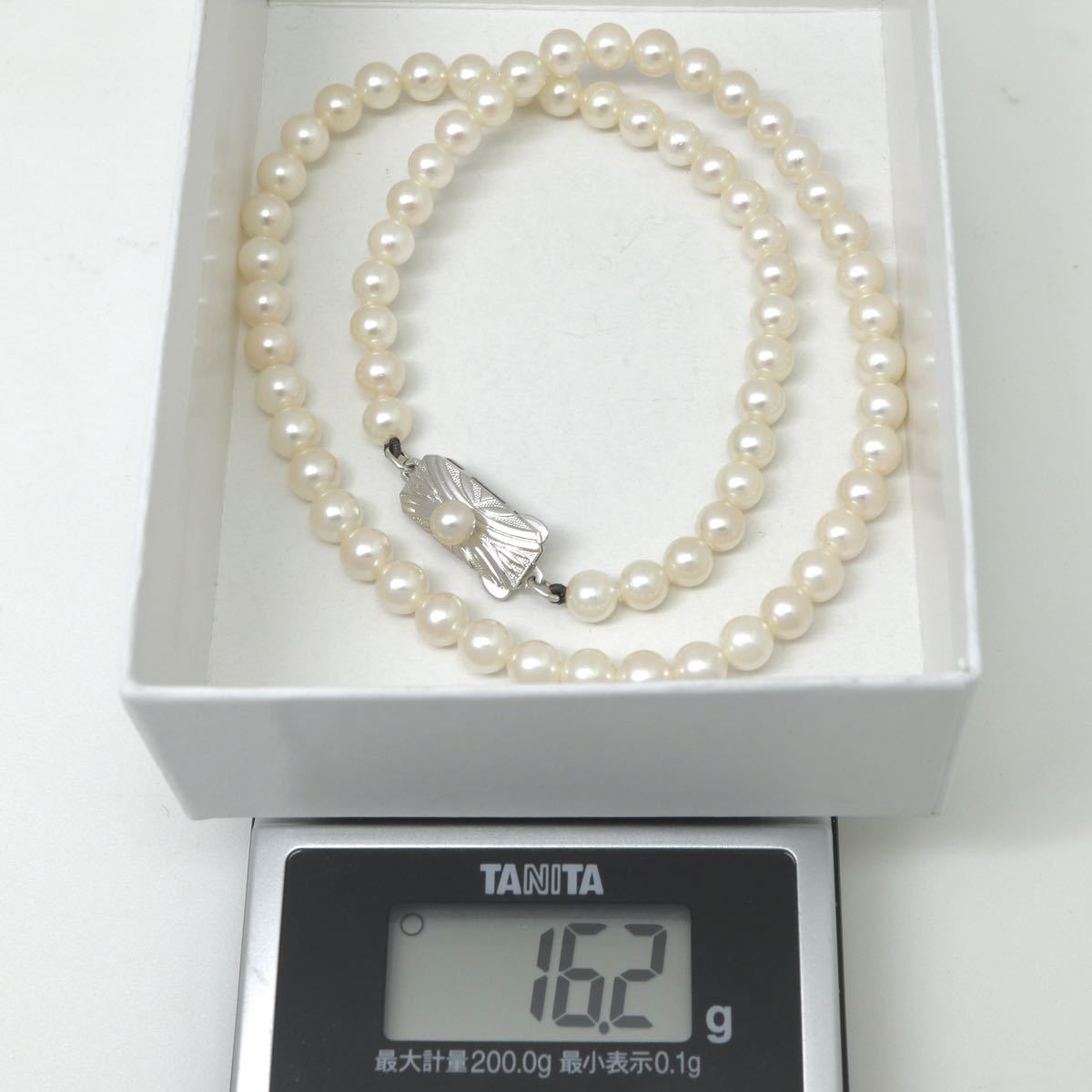 現行クラスプ✨Mチャーム付✨MIKIMOTO パール ネックレス 7～7.5mm 