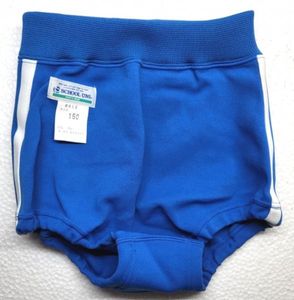 スクールユニ ブルマのYahoo!オークション(旧ヤフオク!)の相場・価格を