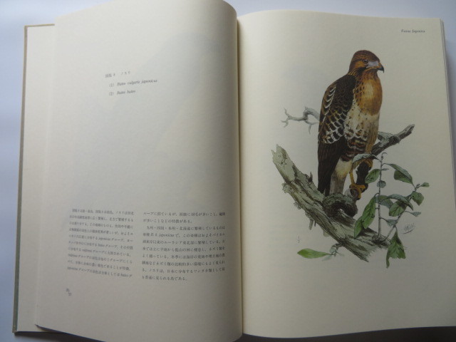 シーボルト日本鳥類図譜 図鑑 シーボルト日本鳥類図譜 | 文有 | ¥4,100