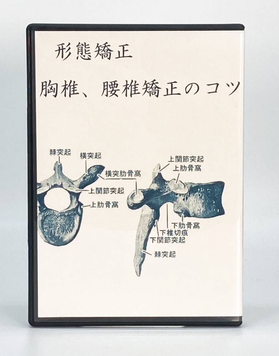 【中古品】形態矯正 胸椎 腰椎矯正のコツ DVD 整体 手技 徒手療法協会