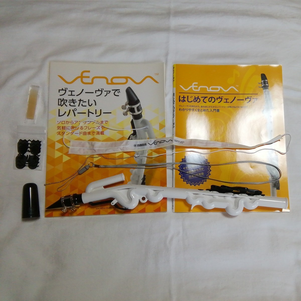 ヤマハベノーバyvs-100[ケース、教則本二冊付]