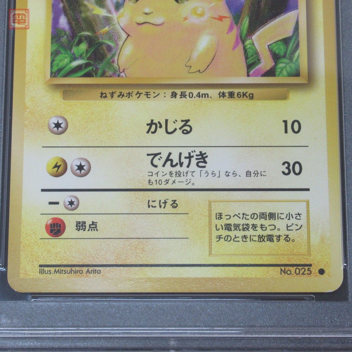 PSA8】 ポケモンカード 旧裏面 ピカチュウ LV.12 マークあり 拡張