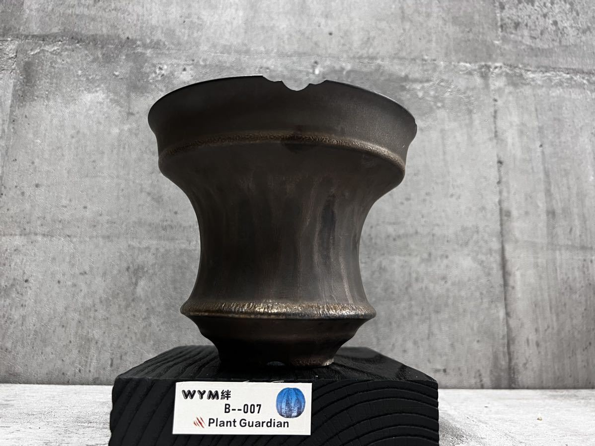 手作り 植木鉢 検索（塊根植物パキポディウム グラキリス アガベ ） 手