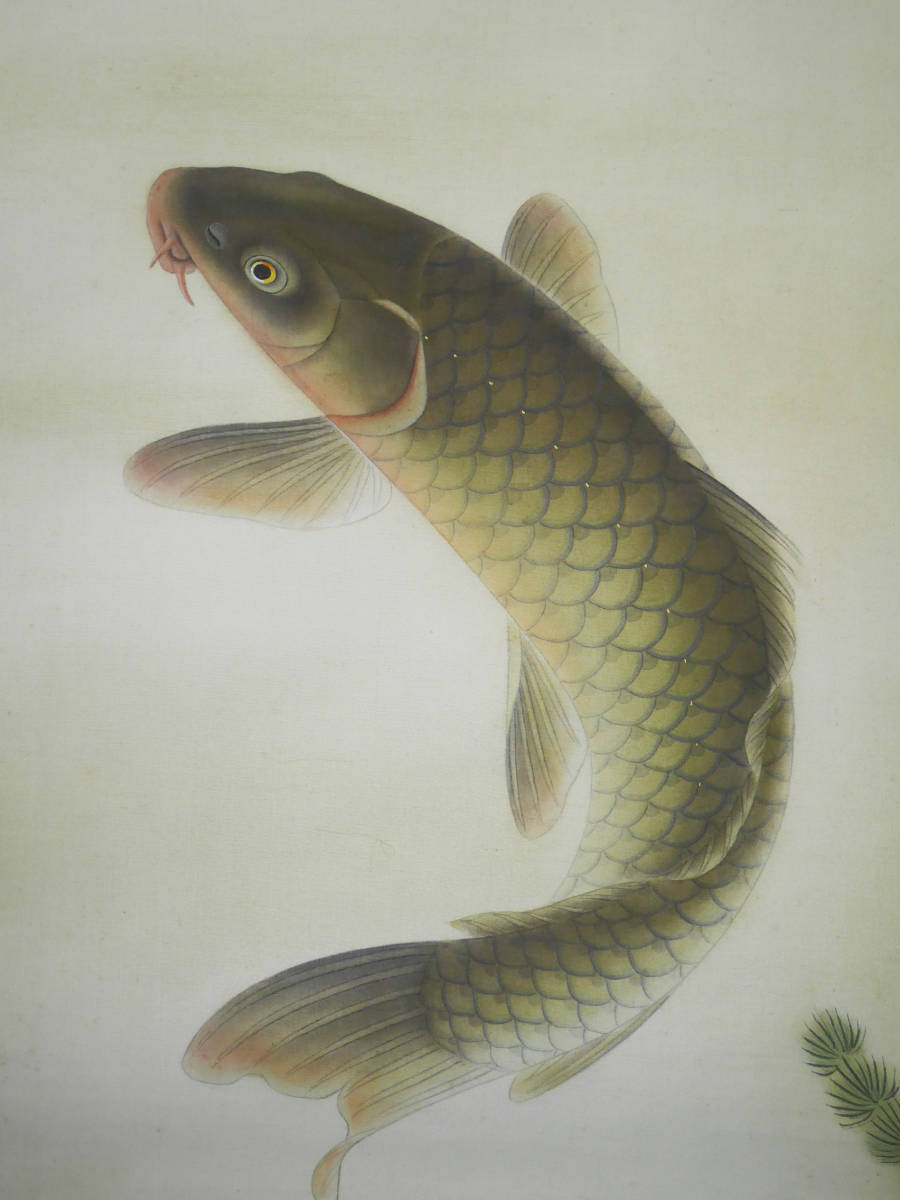 ☆端午節句【雄魚図 鯉】○絹本 肉筆・共箱付 日本画 川