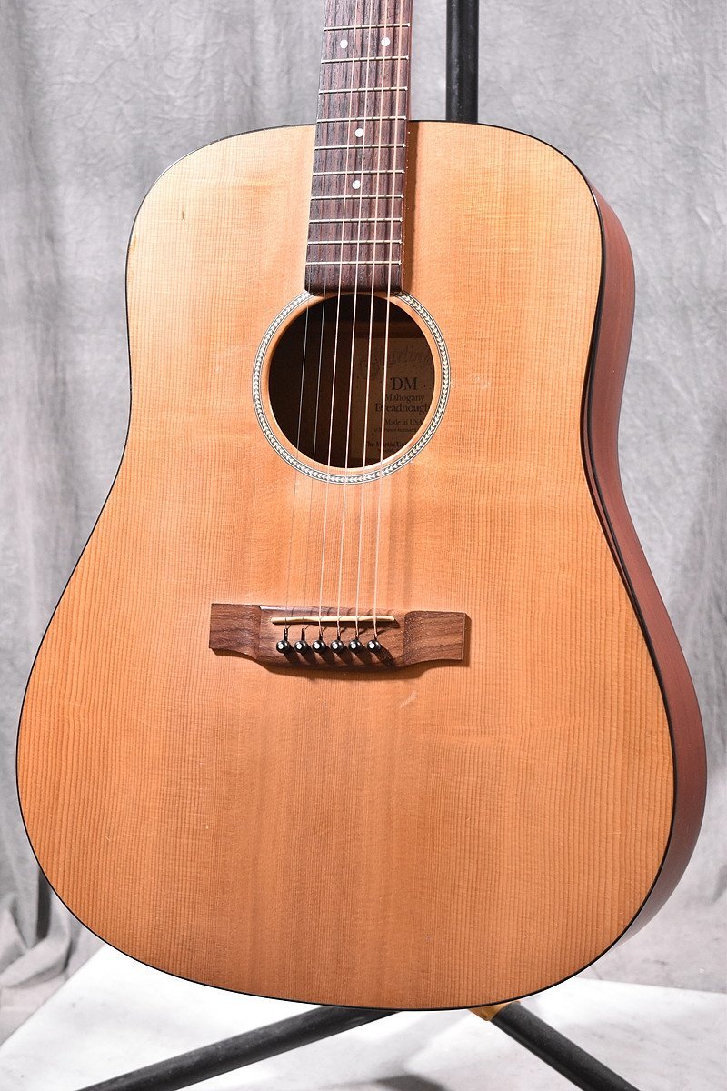Martin Martin & Co./マーティン アコースティックギター DM Mahogany 