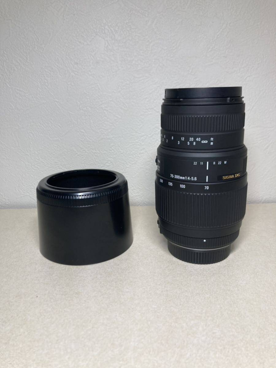 光芒が綺麗なレンズ】SIGMA 70-300mm f4-5.6 DG MACRO Nikon ニコン F