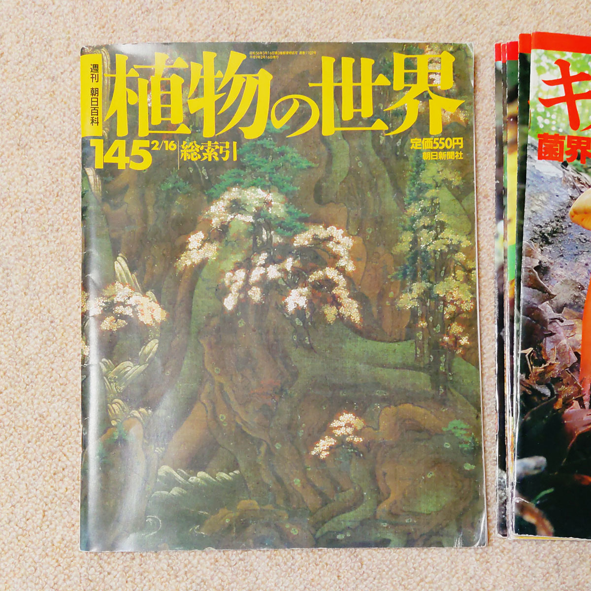 週刊朝日百科 植物の世界 145冊+キノコの世界 5冊 全巻セット キノコの世界 菌界2〜5 週刊朝日百科 植物の世界別冊 週刊