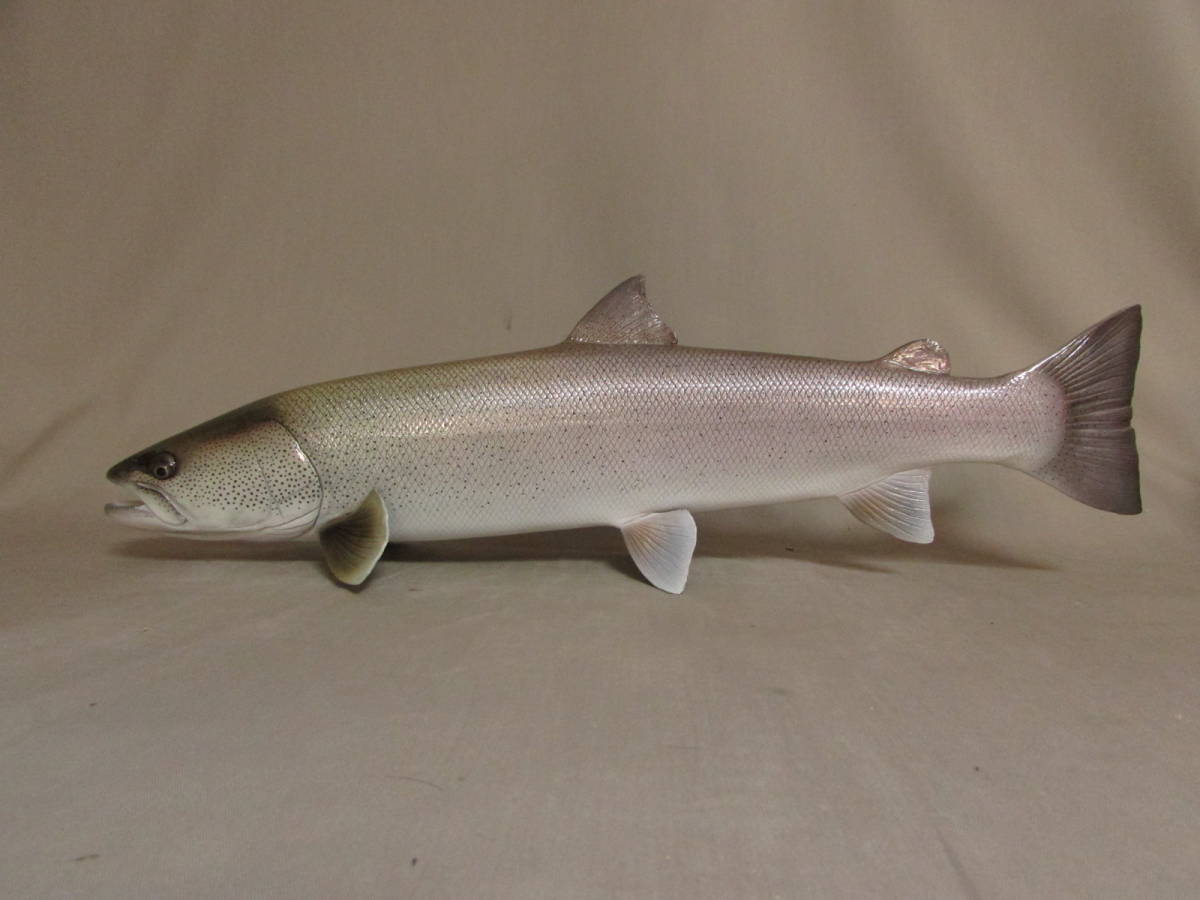 ○ハンドメイド 手作り 46cmイトウ壁掛け 魚模型 フィギュア