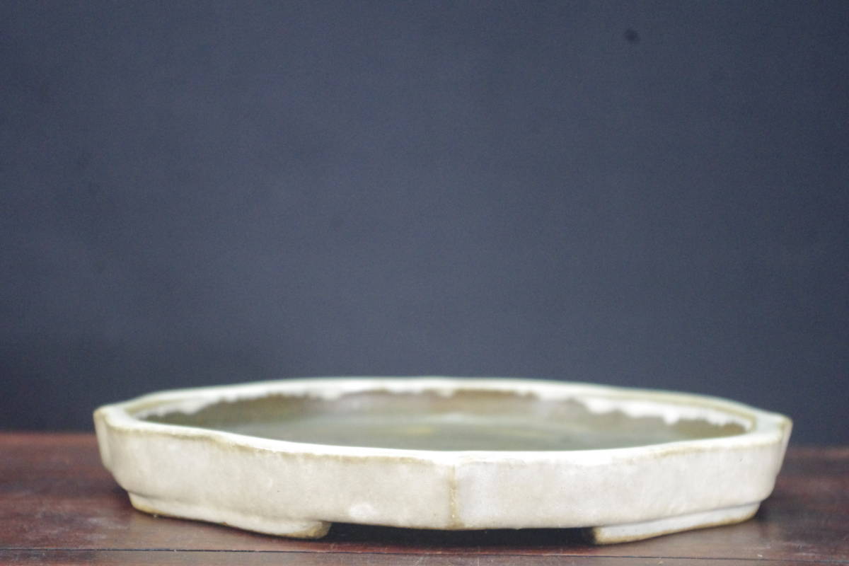 ★盆栽日和★　和鉢 【鴻陽】 白釉古鏡型鉢　23.5㎝