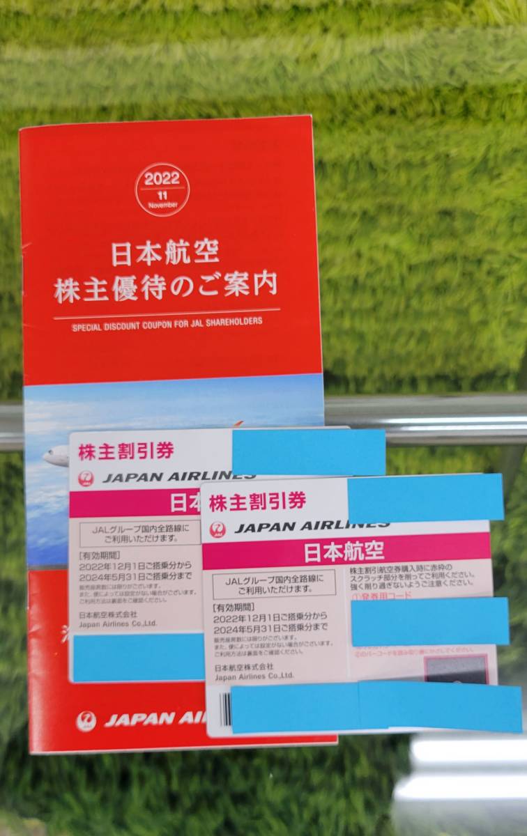 JAL株主優待券　日本航空 ２枚で１組　未使用 　2023/5/31期限　株主割引券　 送料無料 