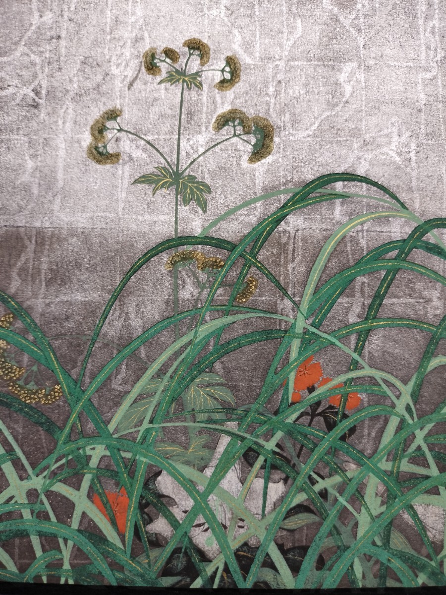 模写 酒井抱一「夏秋草図屏風」肉筆保証 花鳥図 古い掛け軸(掛軸) 紙本