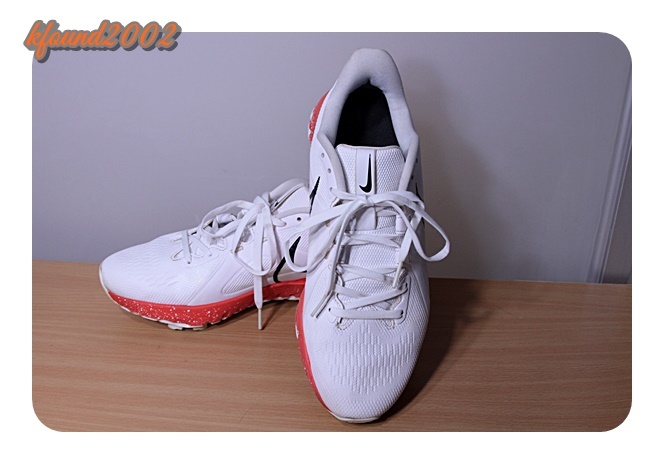 ナイキ ゴルフ ゴルフシューズ NIKE GOLF メンズ NN - 正規品 フリー