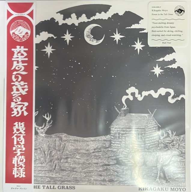 新品 LP 幾何学模様 Kikagaku Moyo / House in the Tall Grass 検) サイケデリック Chill Dub Khruanbin ZAZEN BOYS 坂本慎太郎 ゆらゆら