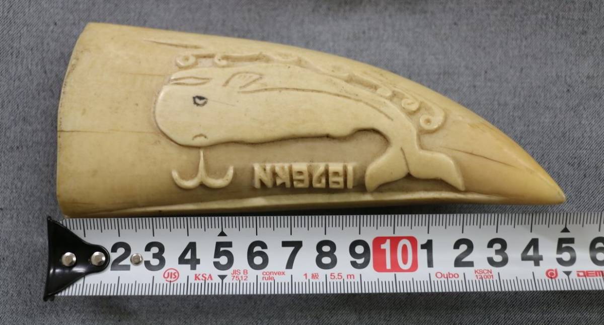 マッコウクジラ 抹香鯨 歯 鯨歯 鯨 抹香鯨の歯 サイ 約911g 印材 鮫歯