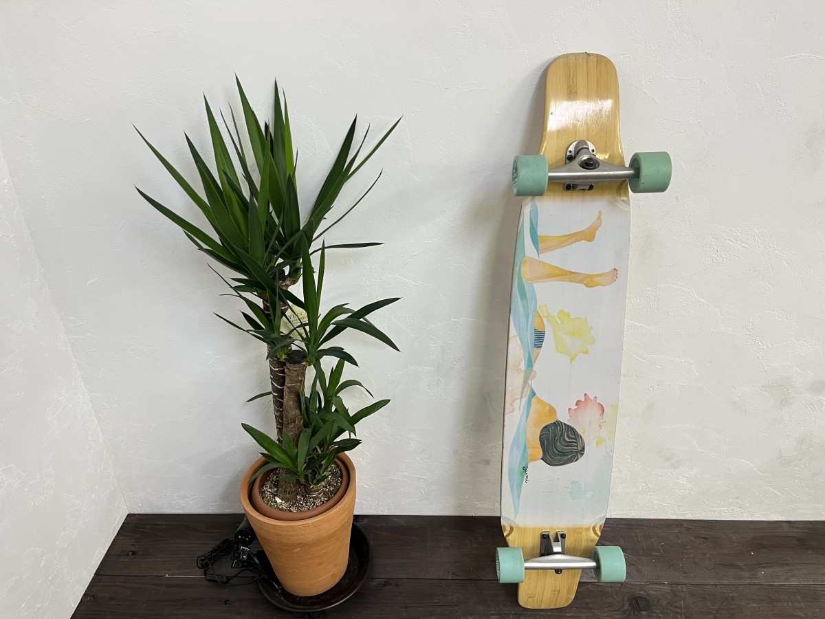 クルージング ロングスケートボード THREE WEATHER スリーウェザー