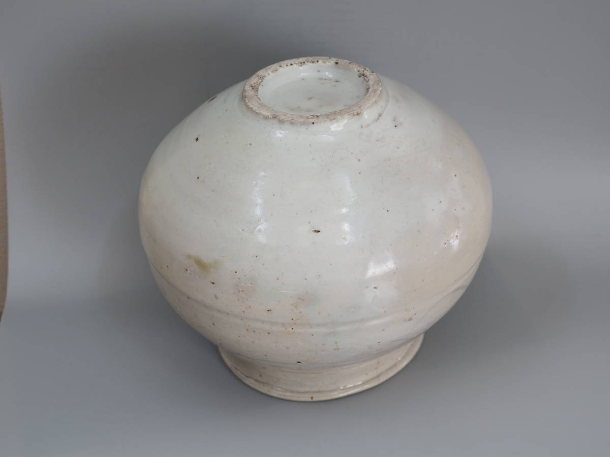 李朝 | 入蘆花（ロカニイル） 染付 白磁青花草文壺（1392–1897CE） 李