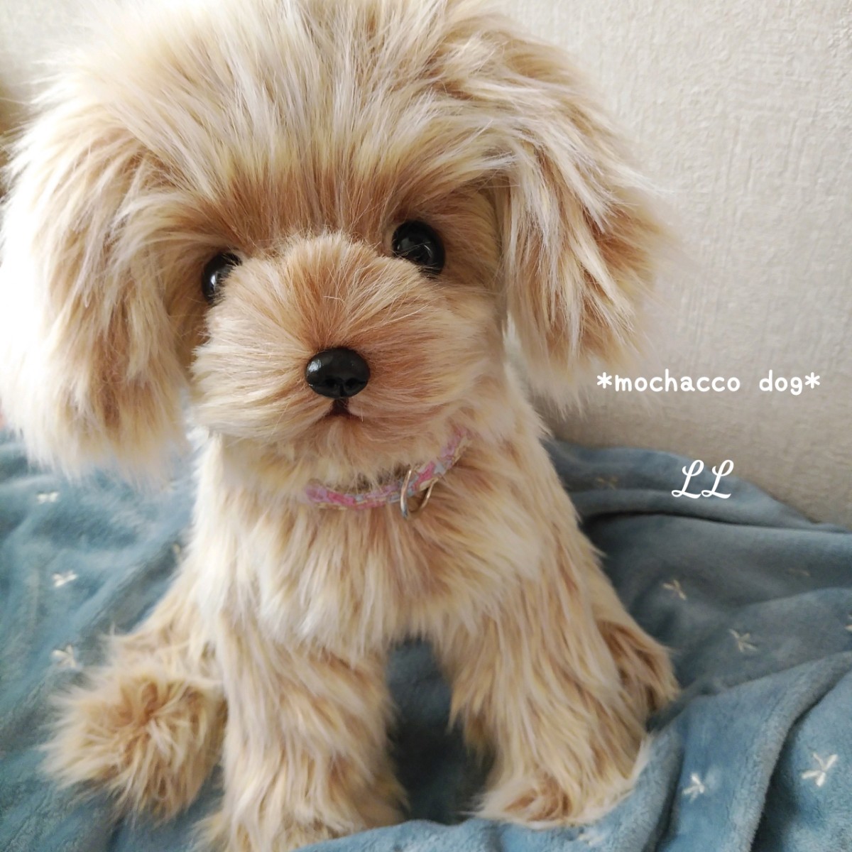 mochacco dog* マルプー (LL) ぬいぐるみわんこ プードル ミックス 犬