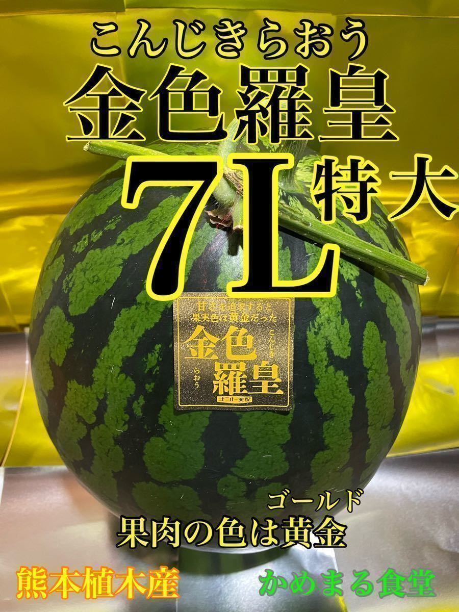 チルド発送！糖度14度以上保証！大玉スイカの最高傑作【金色羅皇】7L 
