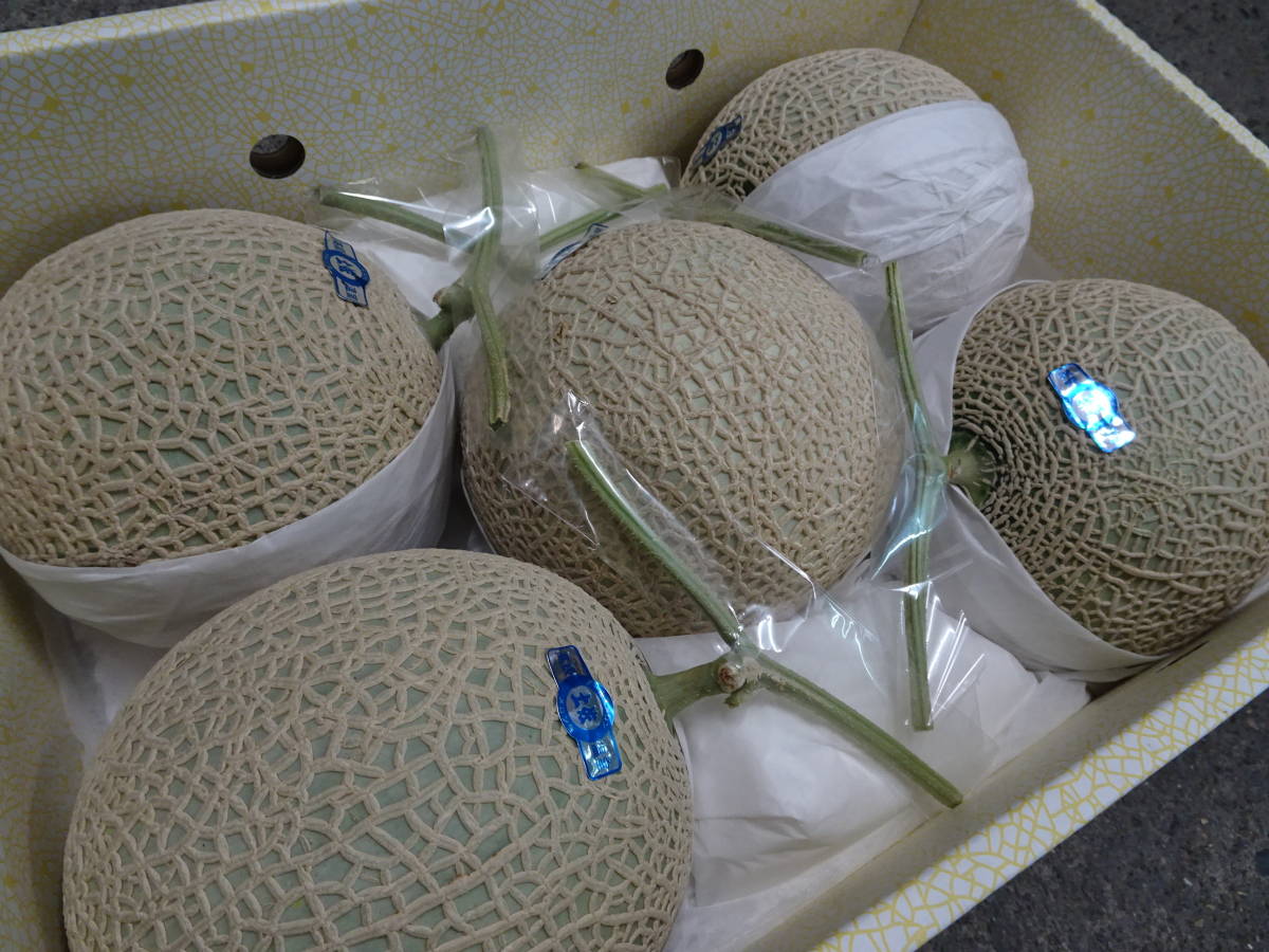 メロン●マスクメロン５玉●９キロ以上●高知産