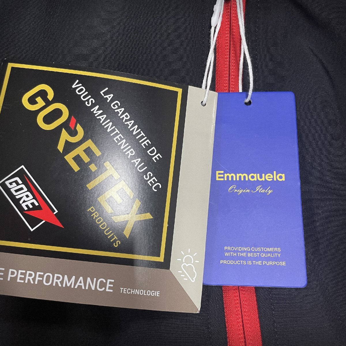 最高級・GORE-TEX/ゴアテックス・防水/防風・マウンテンパーカ 定価9万◆Emmauela・イタリア・ミラノ発◆ジャケット アウター 登山服 L/48_8