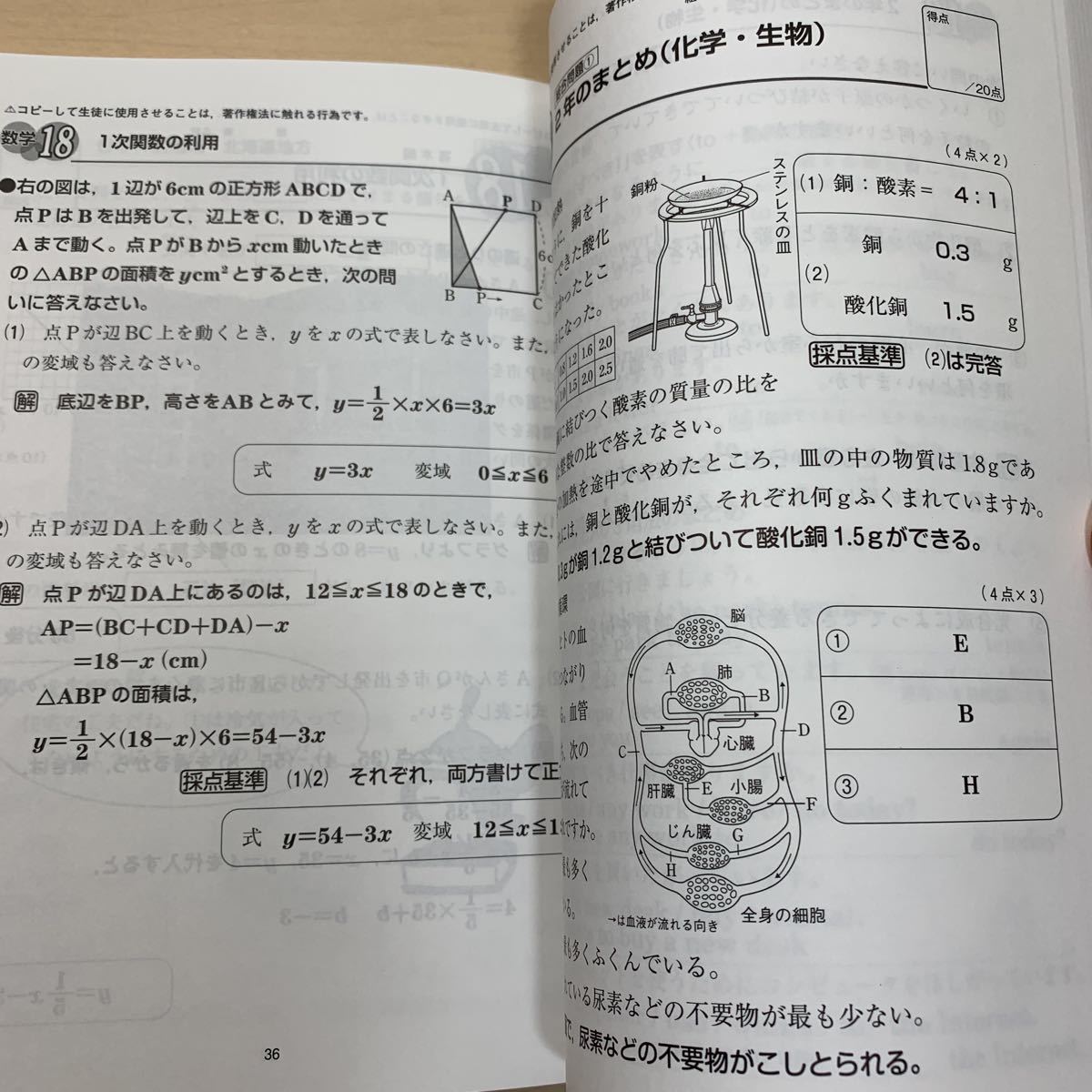 令和5年度 ご審査用見本【基礎の定着ドリル5教科合本】中学 2年 