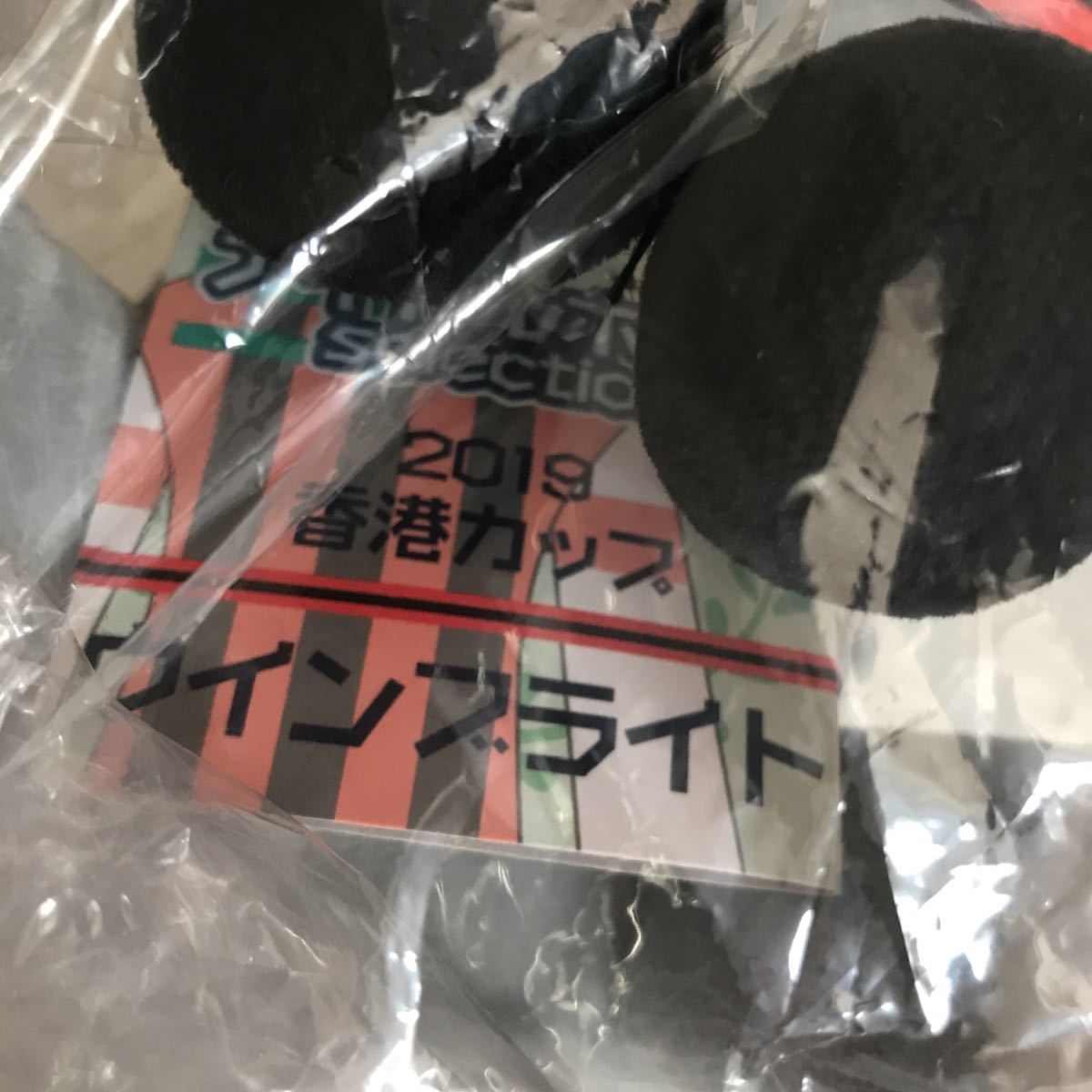 新品 ウインブライト 香港カップ アイドルホース セット 香港国際競走