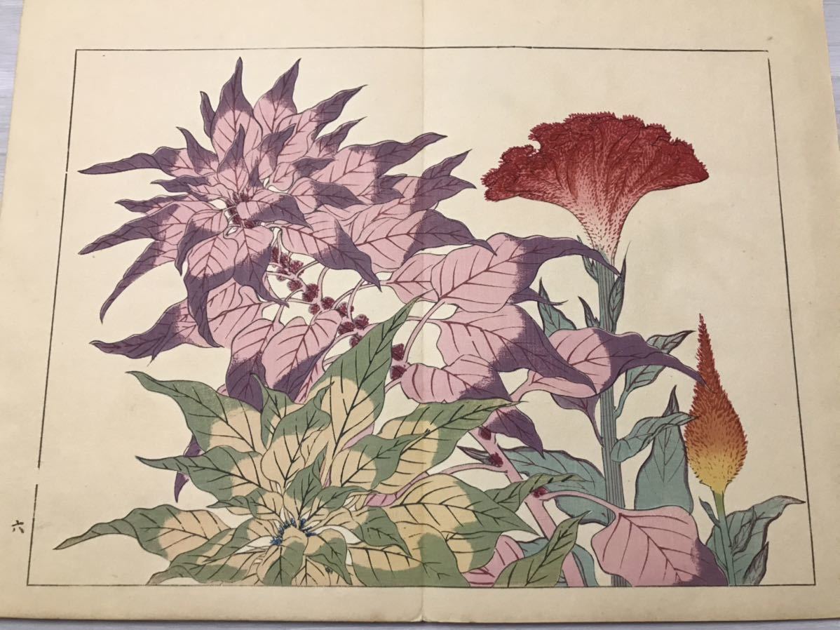 四季の花 秋之部3帖揃 明治41年 芸艸堂刊 彩色木版画 70図 酒井抱一 