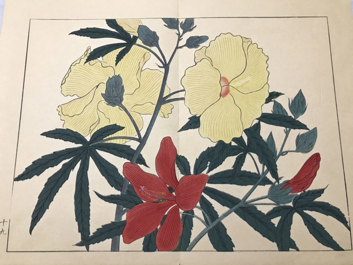 四季の花 秋之部3帖揃 明治41年 芸艸堂刊 彩色木版画 70図 酒井抱一 
