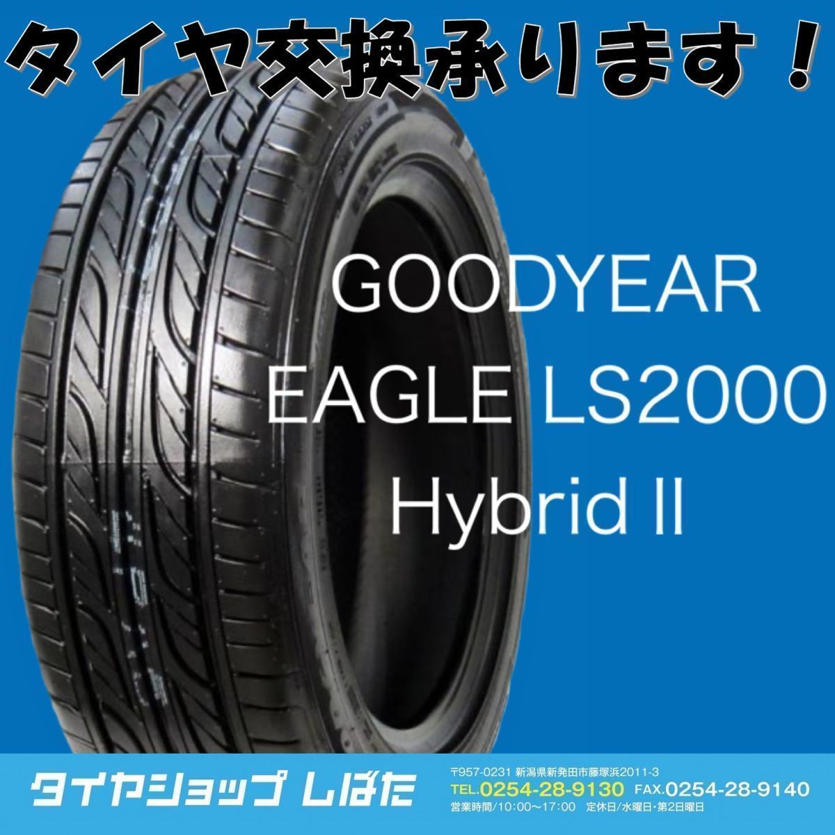 送料無料 2021年製 新品 (GY004-13)GOODYEAR EAGLE LS2000 HybridⅡ