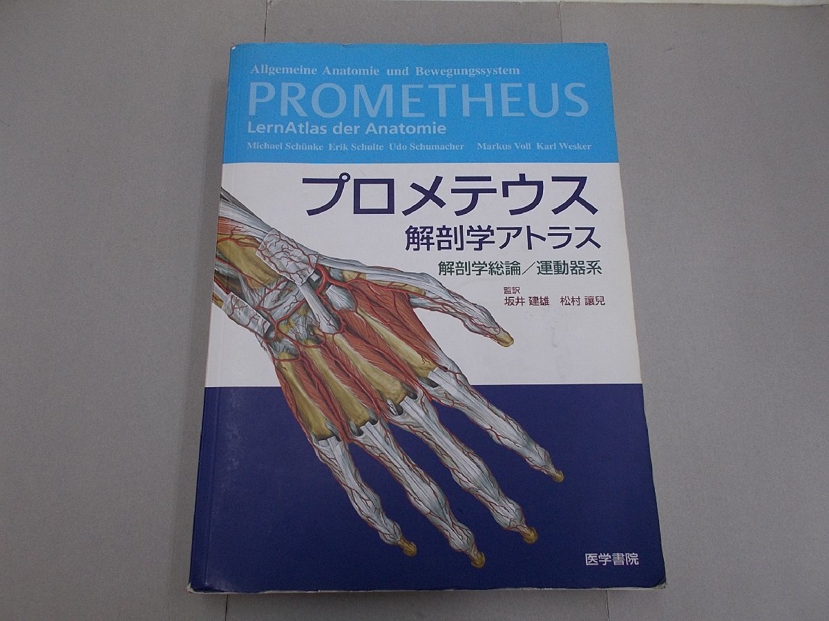 プロメテウス解剖学アトラス | 解剖学総論／運動器系 解剖学総論⁄運動