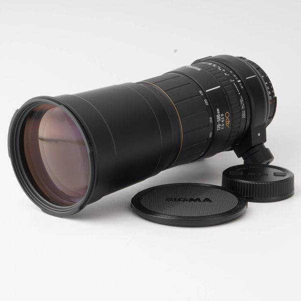 シグマ Sigma 170-500mm F5-6.3 D APO Nikon用 #9392 170-500mm SIGMA
