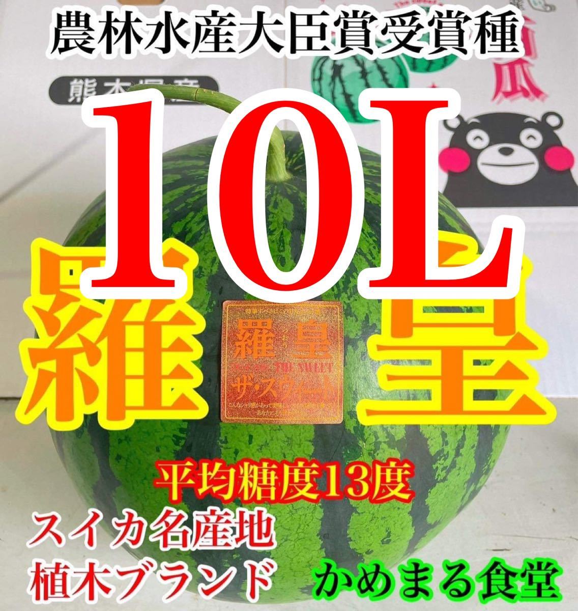 1番花!超モンスターサイズ!大玉スイカの最高傑作【羅皇】超特大10L(15〜16kg)熊本植木産 かめまる食堂25